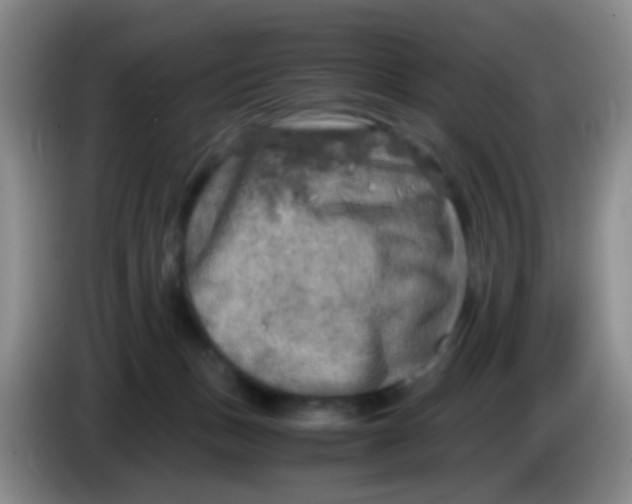 X0000083980175200703091831