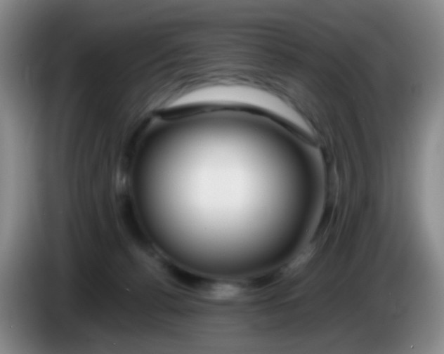 X0000083980176200703091831