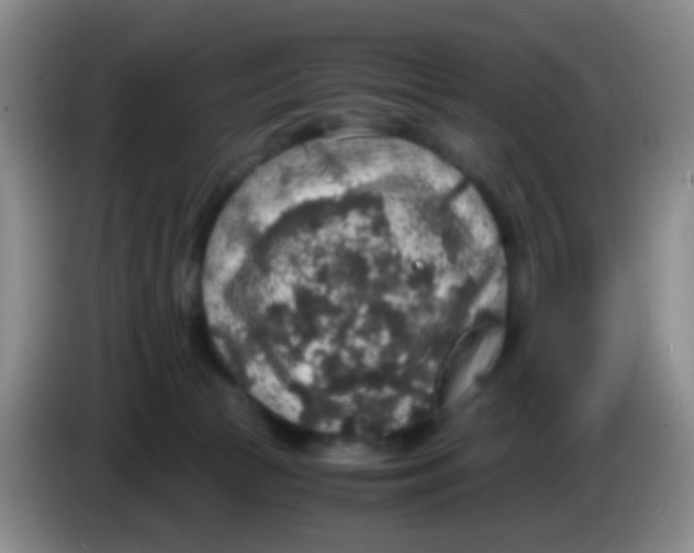 X0000083980177200703091832