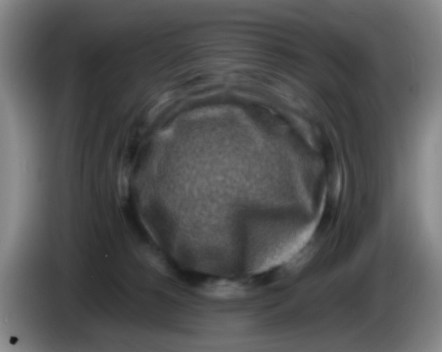 X0000083980180200703091832