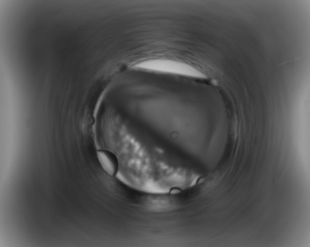 X0000083980181200703091832