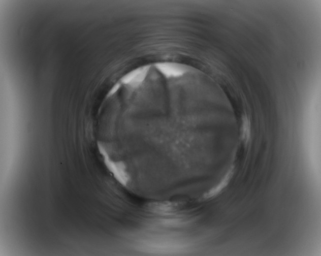 X0000083980182200703091832