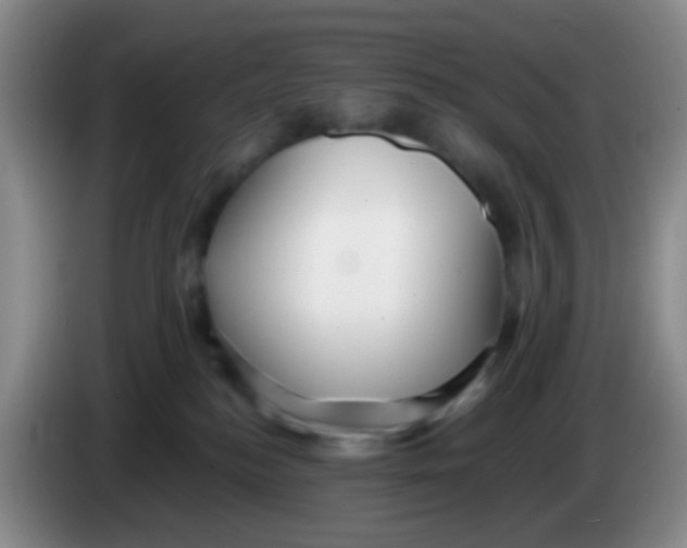 X0000083980184200703091832