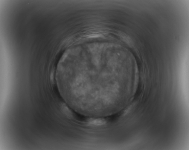 X0000083980185200703091832