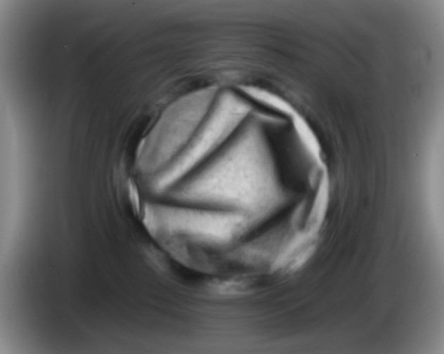 X0000083980186200703091832