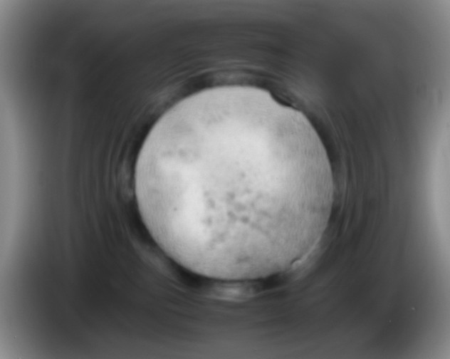 X0000083980187200703091832