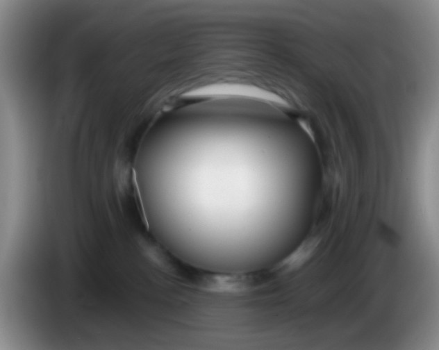 X0000083980188200703091832