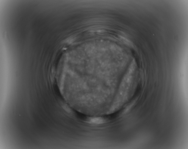 X0000083980189200703091832