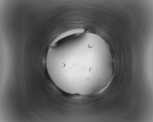 X0000083980190200703091832