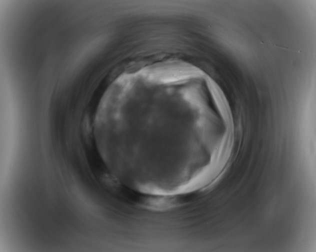 X0000083980191200703091832