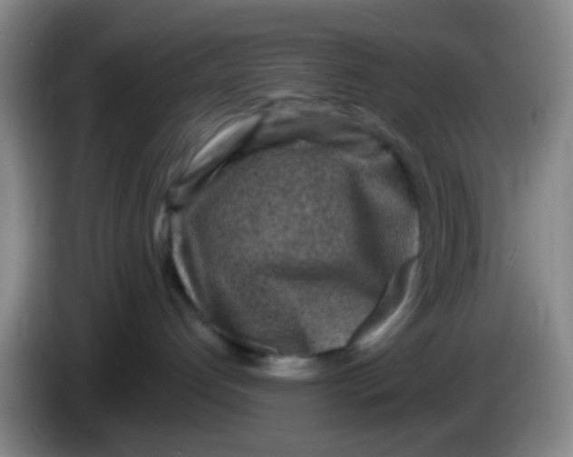 X0000083980192200703091832