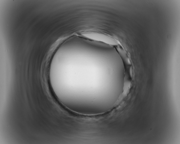 X0000083980193200703091831