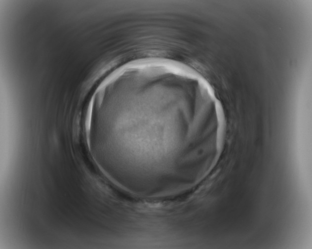 X0000083980194200703091831