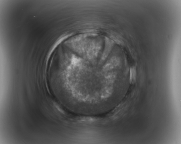 X0000083980195200703091831