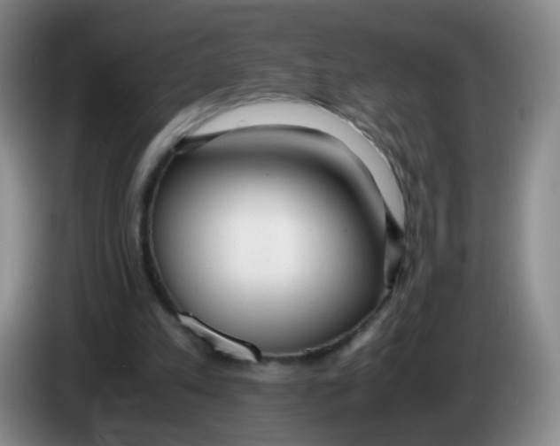 X0000083980197200703091831