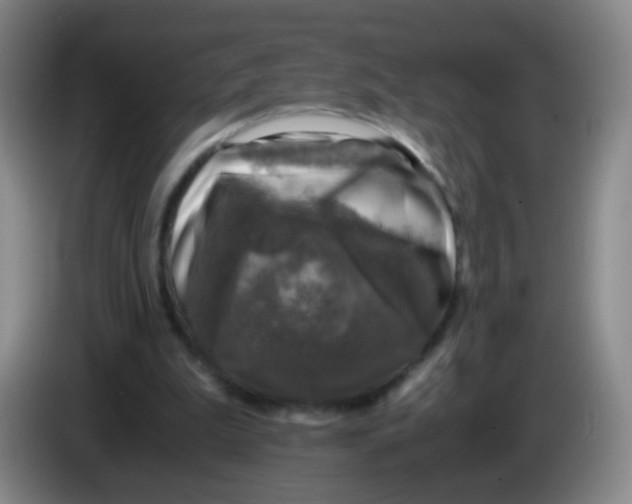 X0000083980199200703091831