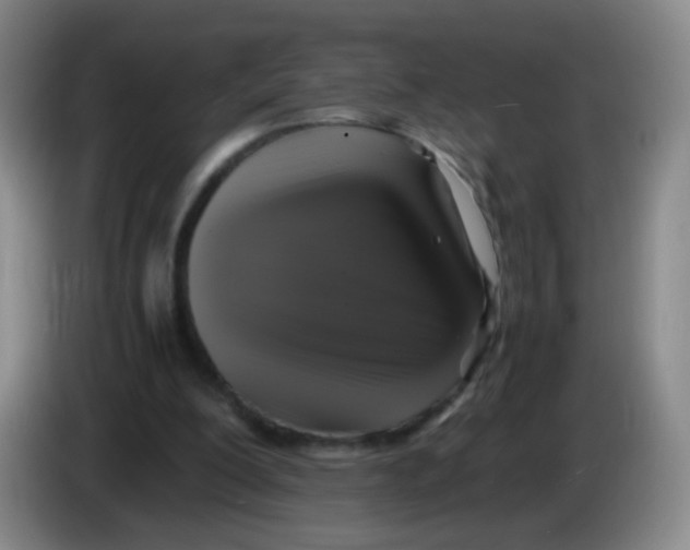 X0000083980200200703091831