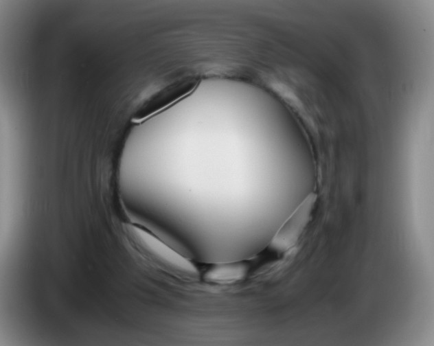 X0000083980201200703091831