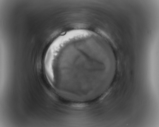 X0000083980202200703091831