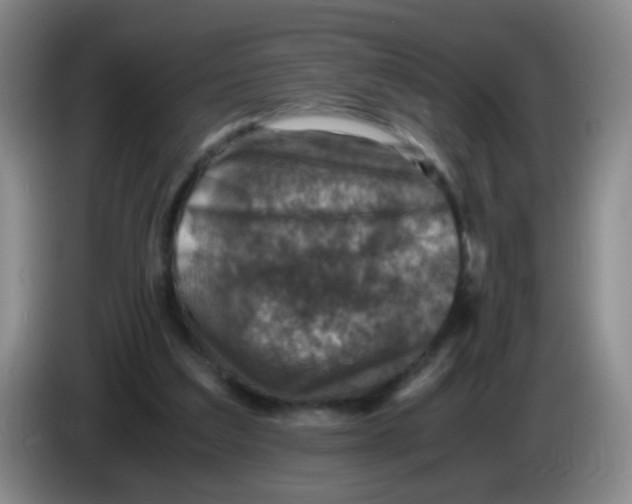 X0000083980203200703091831