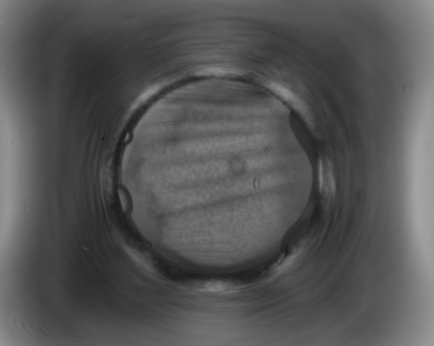 X0000083980204200703091831