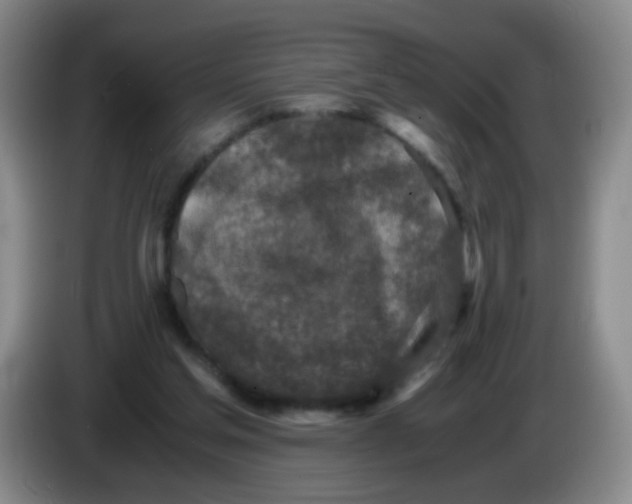 X0000083980205200703091831