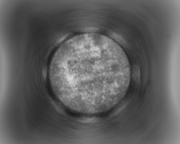 X0000083980206200703091831