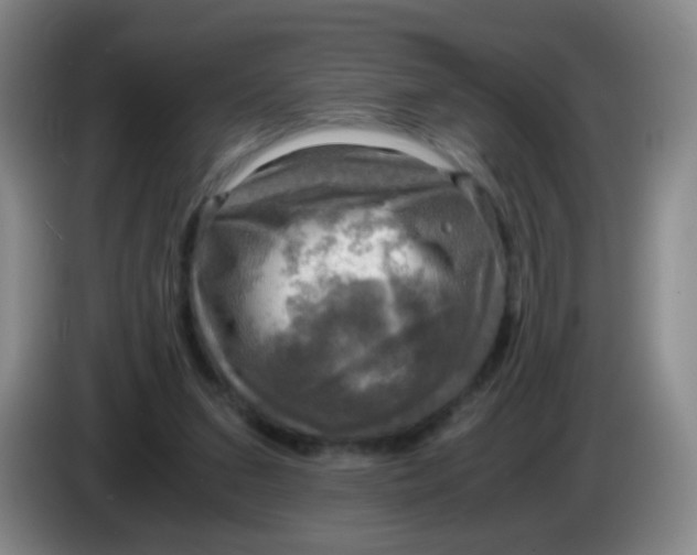 X0000083980207200703091831