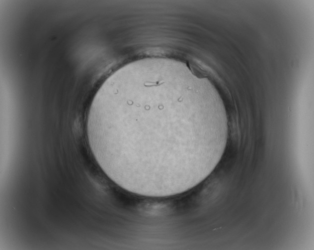 X0000083980208200703091831