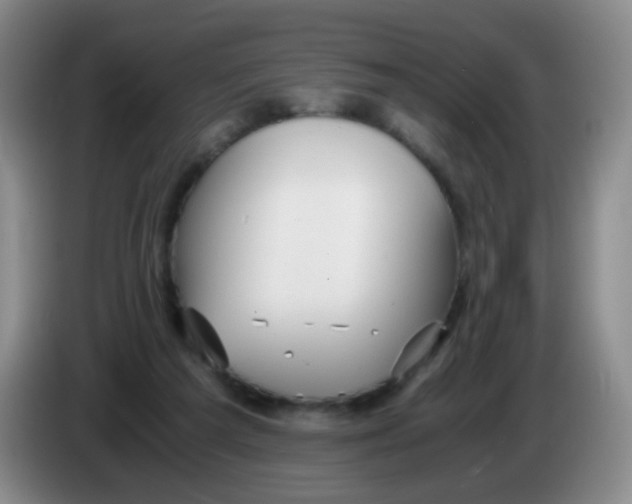 X0000083980209200703091831