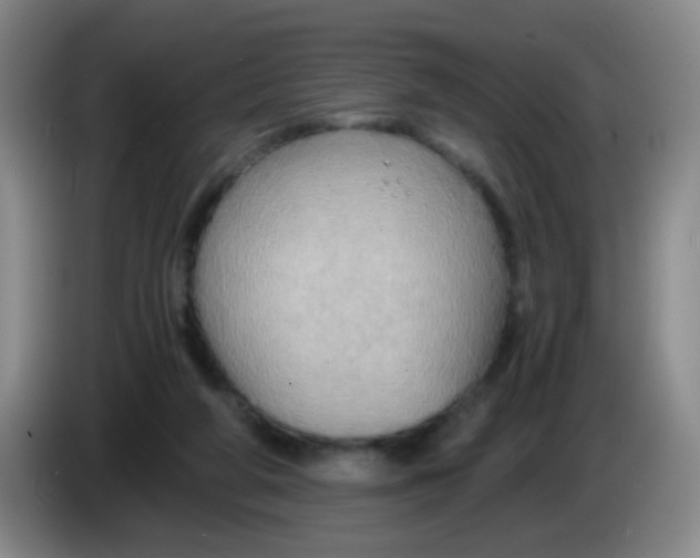 X0000083980210200703091831