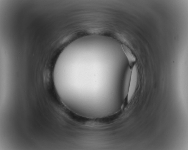 X0000083980211200703091831