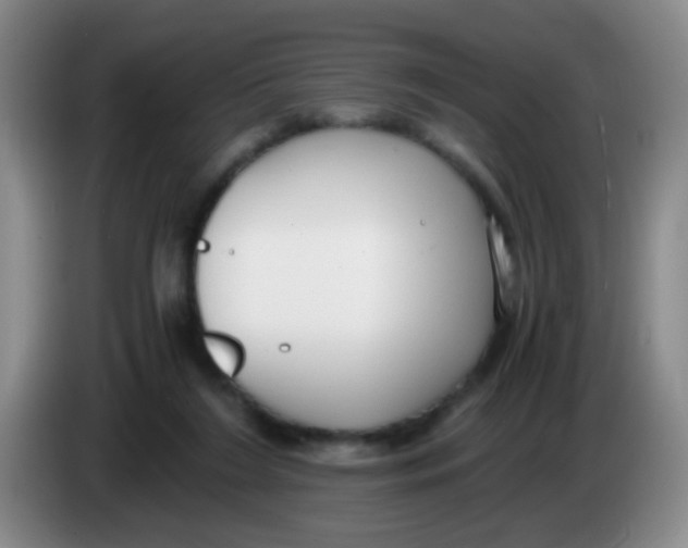 X0000083980212200703091831