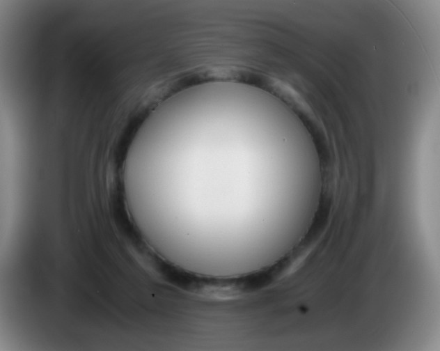 X0000083980213200703091831