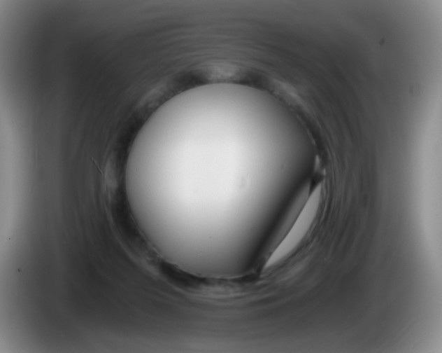 X0000083980215200703091831