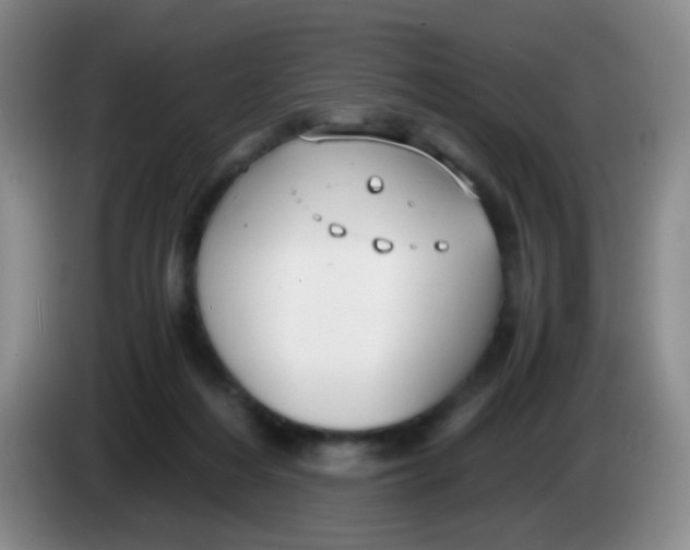 X0000083980216200703091831