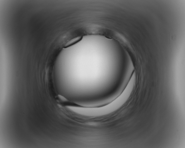 X0000083980217200703091831