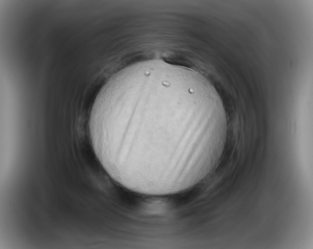 X0000083980218200703091831