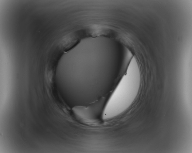 X0000083980219200703091831