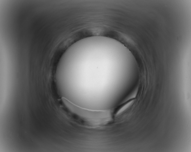 X0000083980221200703091831