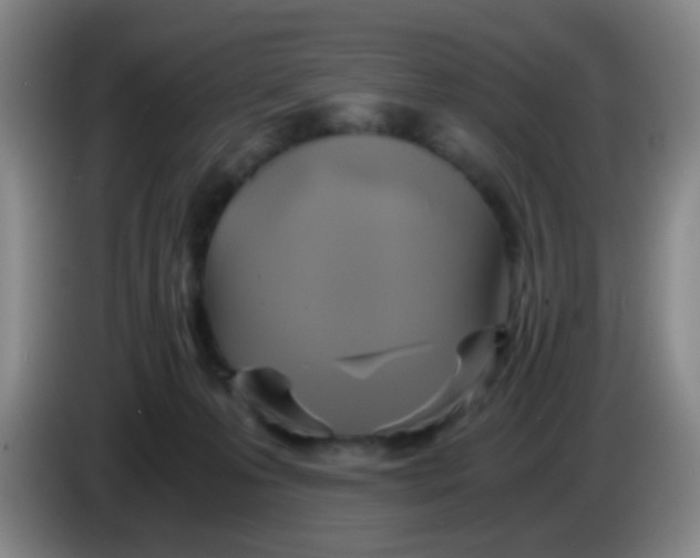 X0000083980223200703091831