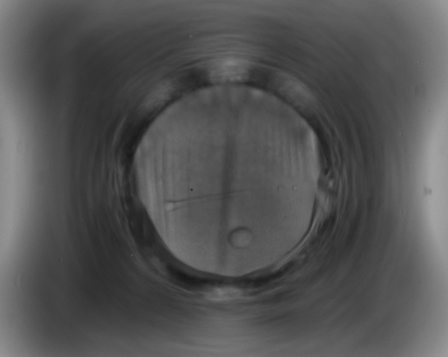 X0000083980224200703091831