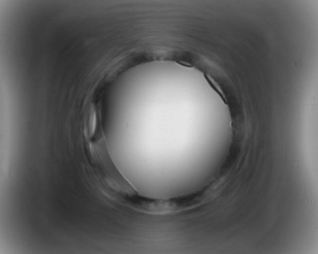 X0000083980225200703091831