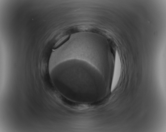 X0000083980227200703091831