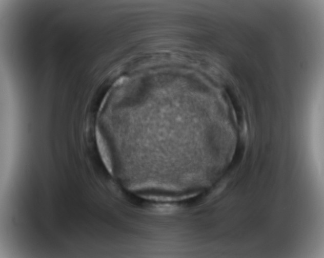 X0000083980233200703091830