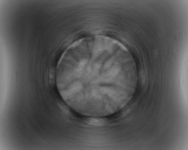 X0000083980234200703091830