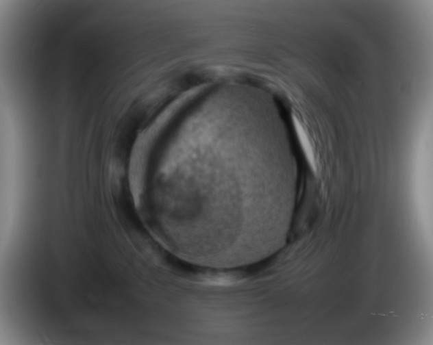 X0000083980235200703091830