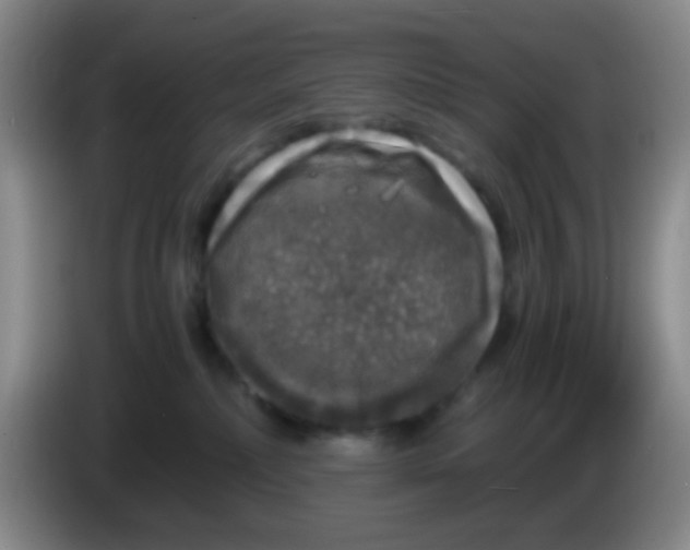 X0000083980236200703091830