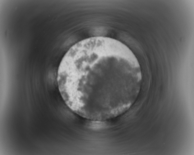 X0000083980240200703091830