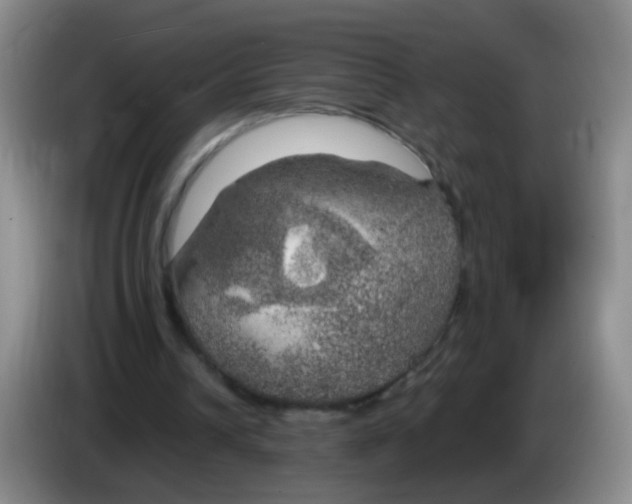 X0000083980242200703091830